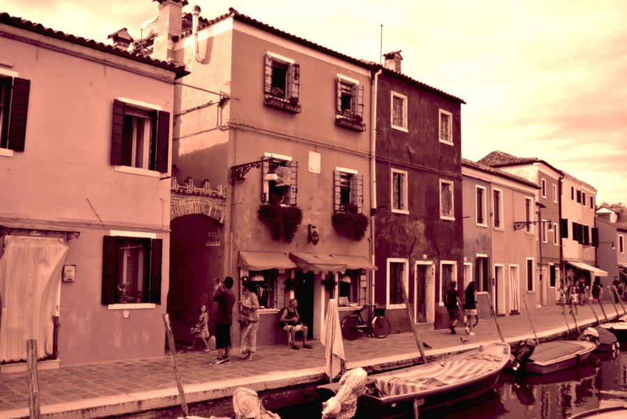 DSC 2571